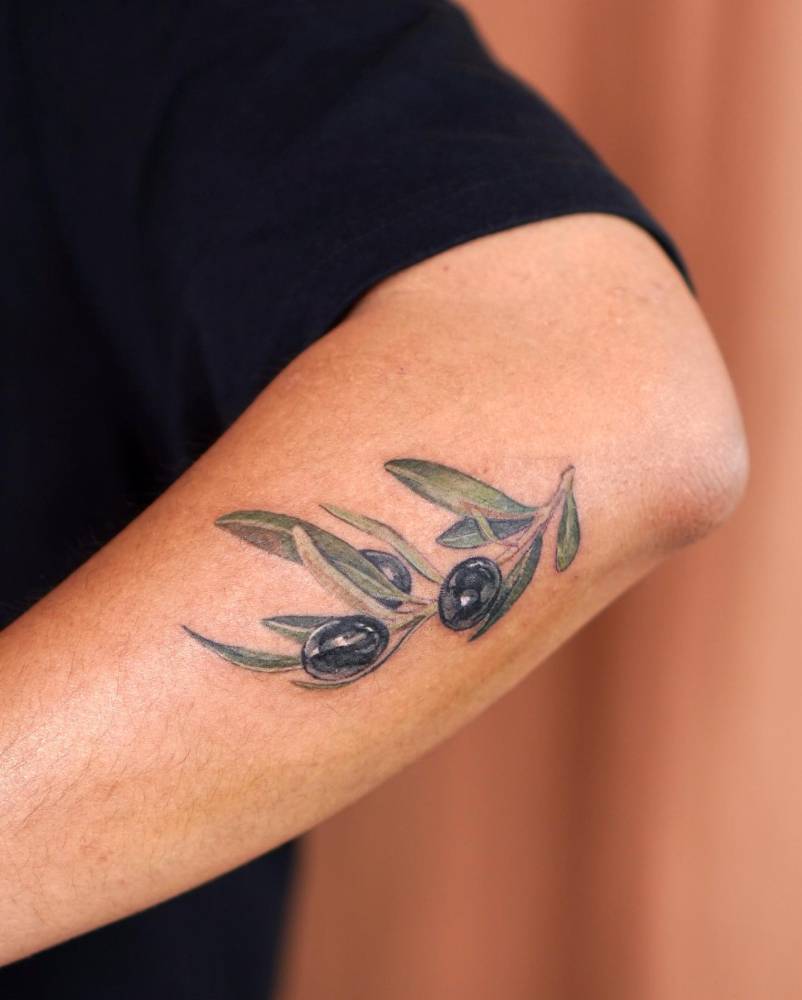 Olive branch tattoo in watercolor style located on the forearm.