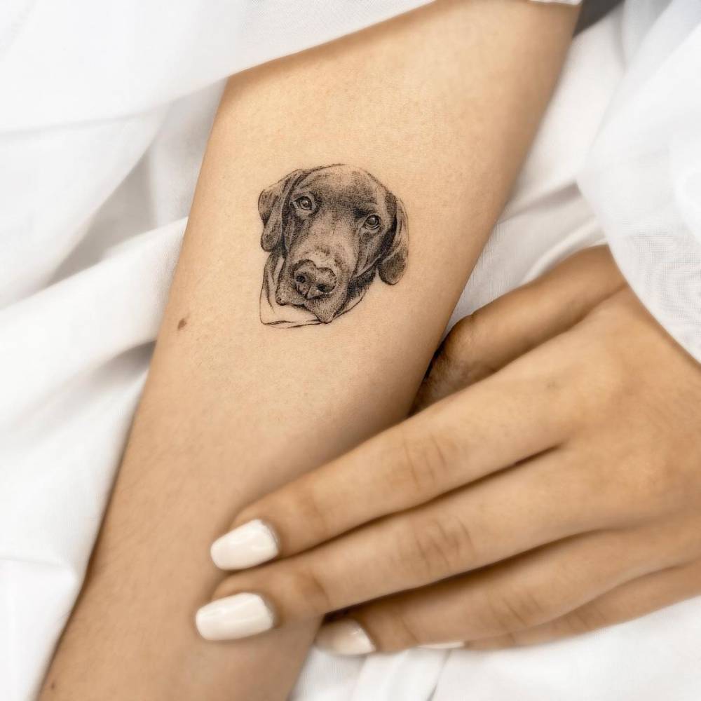 Micro-realistic Pointer portrait tattoo on the inner forearm.