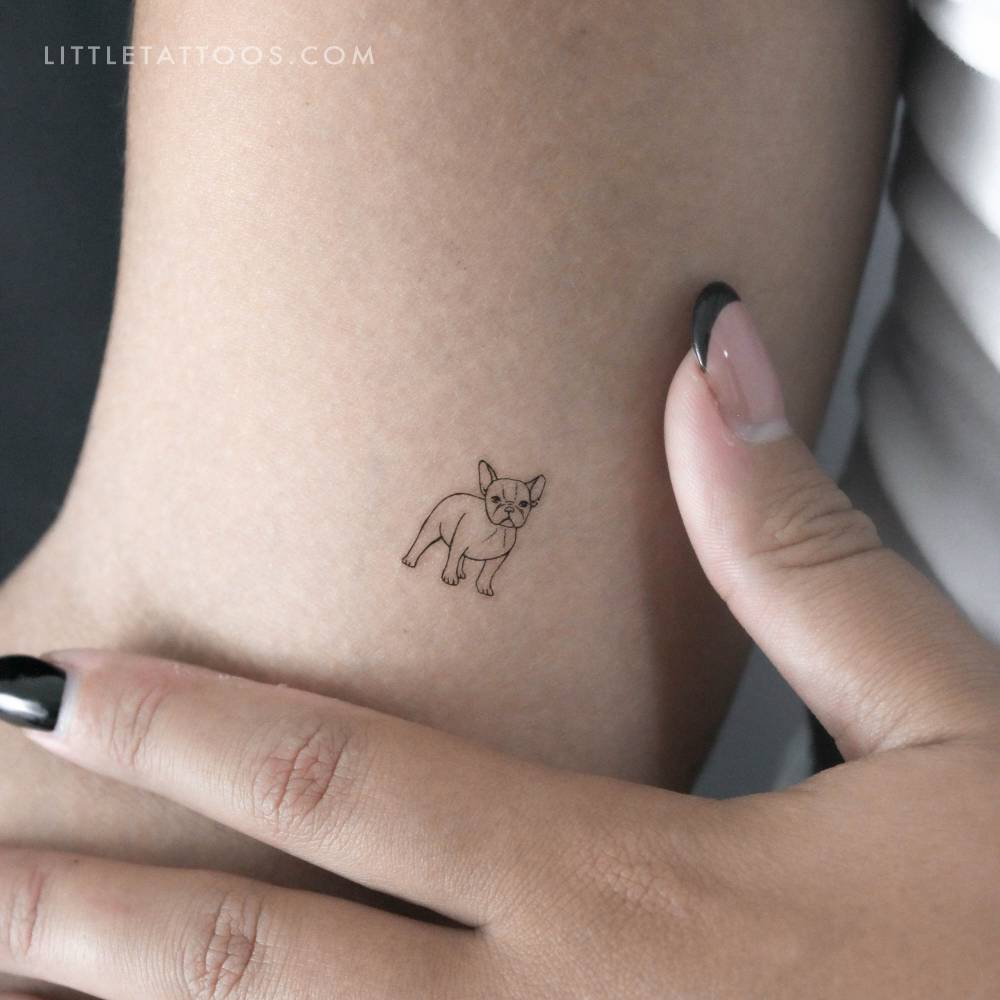 Tiny French bulldog temporary tattoo
