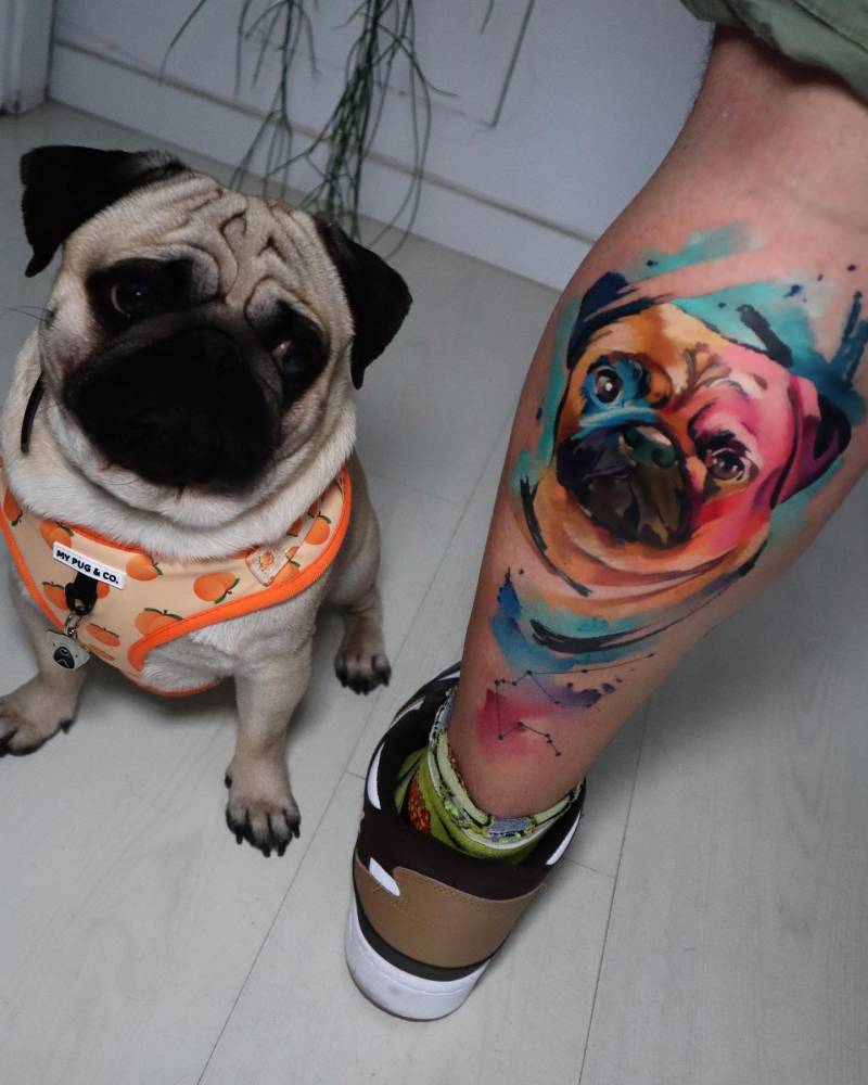 Pug portrait tattoo located on the calf, watercolor style.