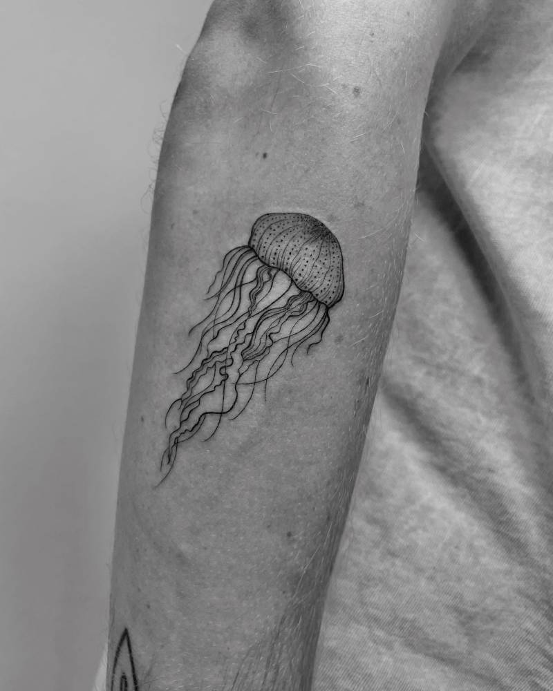Illustrative style jellyfish tattoo placed on the forearm.