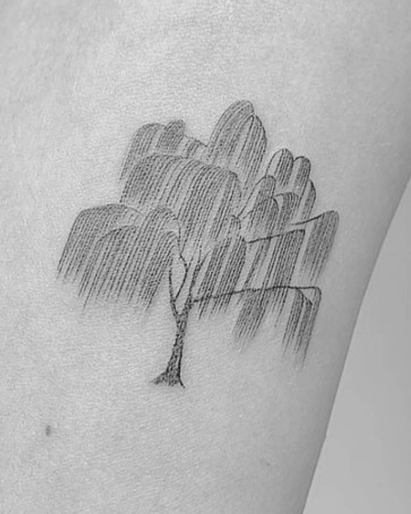 Weeping willow tattoo in fine line style located on the inner arm.