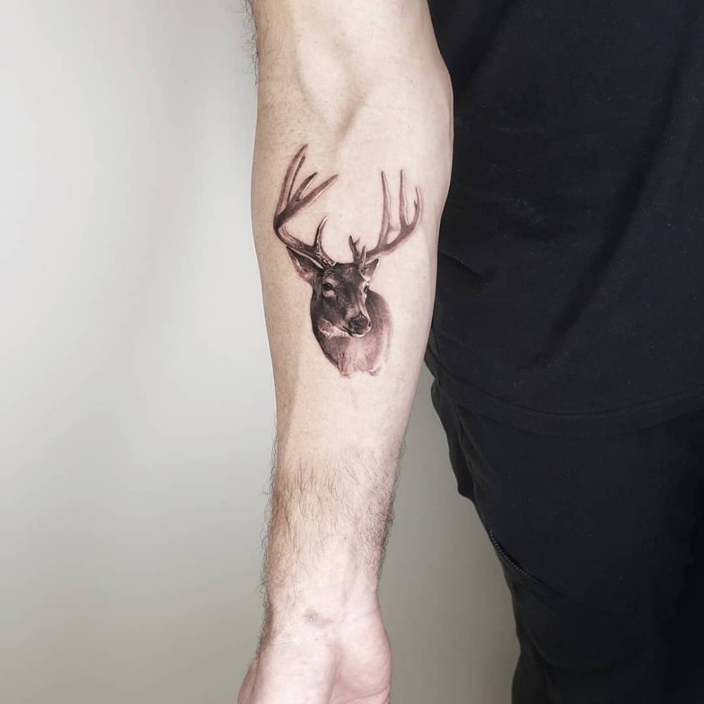 "This whitetail buck was a very identifiable local legend.  I spend lots of time improving the wildlife habitat on our family “farm” with the main focus of providing free range whitetail deer enough natural habitat so they can live longer healthi