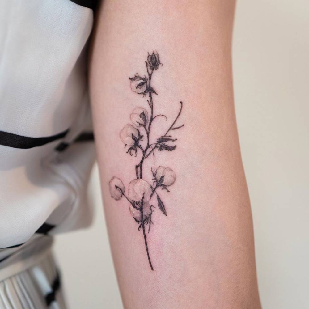 Cotton flowers tattoo on inner arm