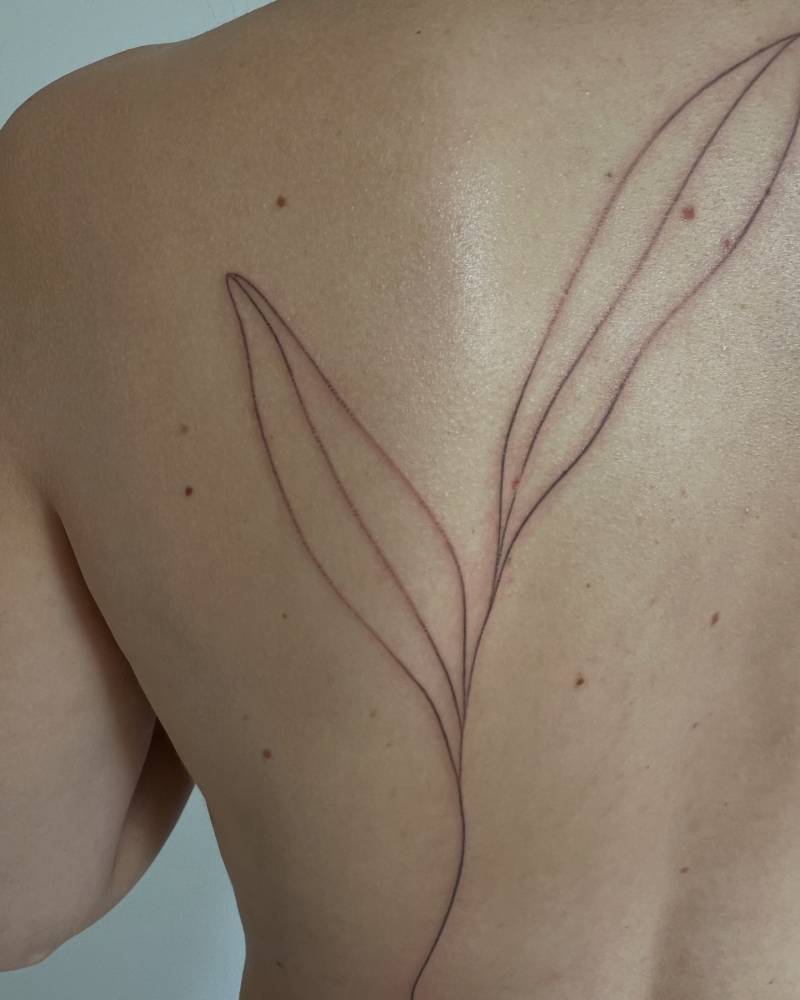 Hand poked leaves tattoo located on the back.