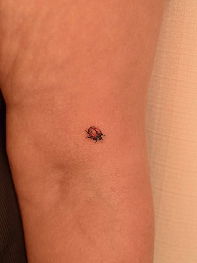 Tiny illustrative style ladybug tattoo located on the upper arm.