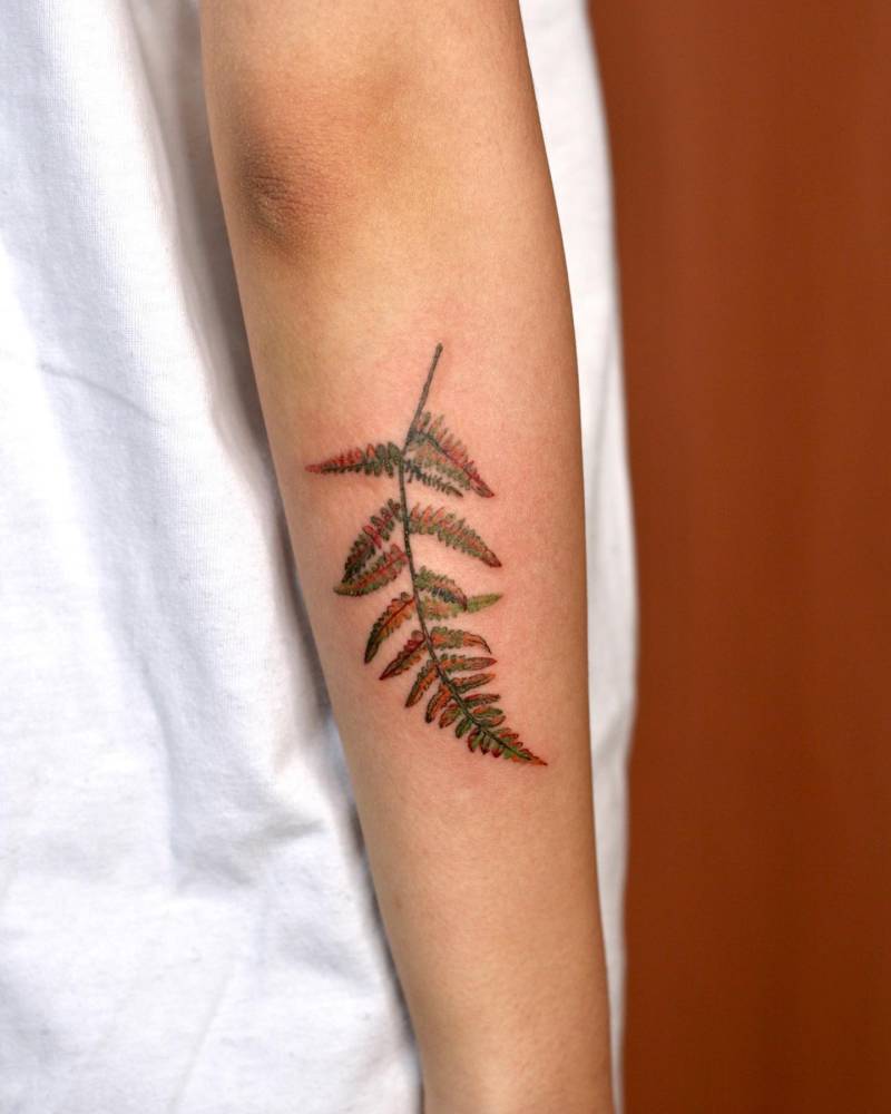 Watercolor style fern frond tattoo located on the forearm.
