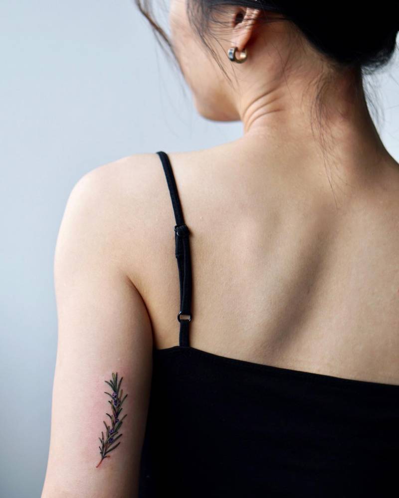 Rosemary tattoo in watercolor style located on the tricep.