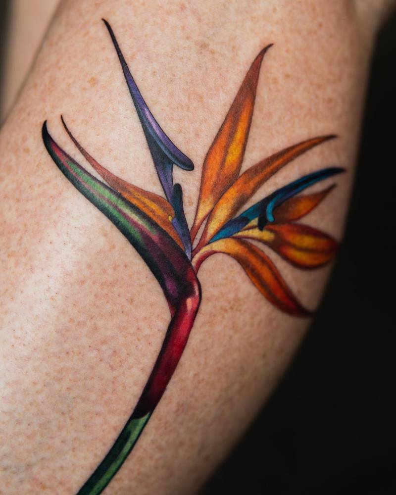 Watercolor style bird of paradise flower tattoo placed on the shin.