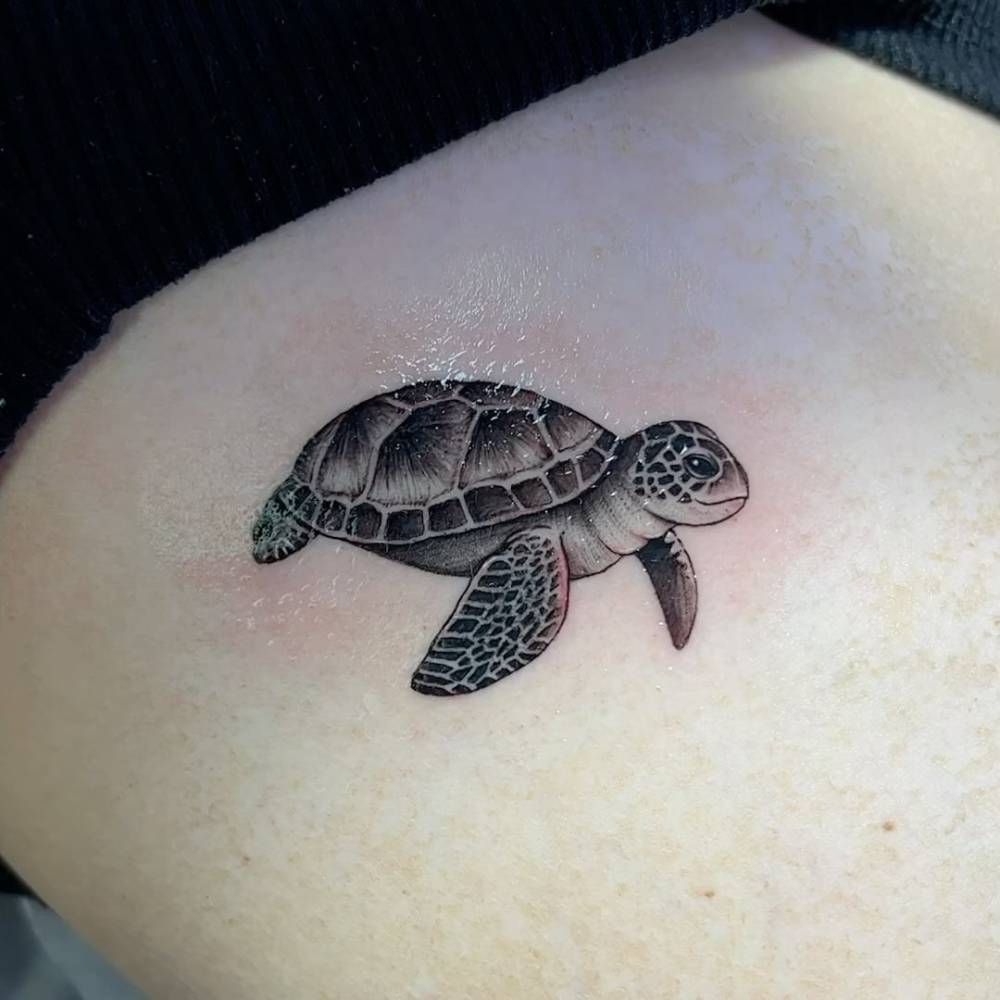 Turtle tattoo located on the rib, done in illustrative style.