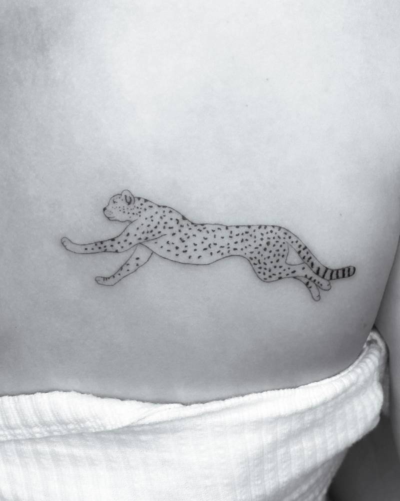 Hello little cheetah.