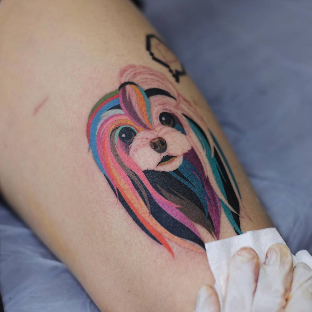 Maltese dog portrait tattoo located on the thigh.