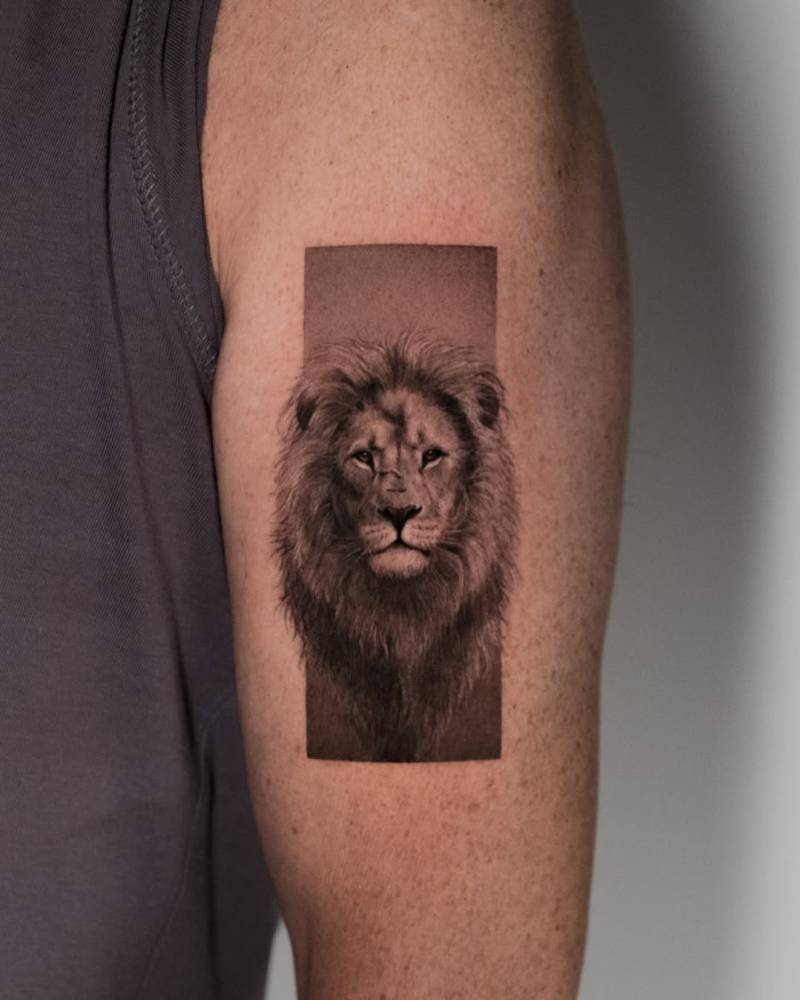 Lion portrait tattoo in micro-realistic style located on the upper arm.