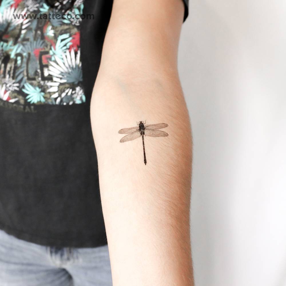 Illustrative style dragonfly temporary tattoo located on the inner forearm.