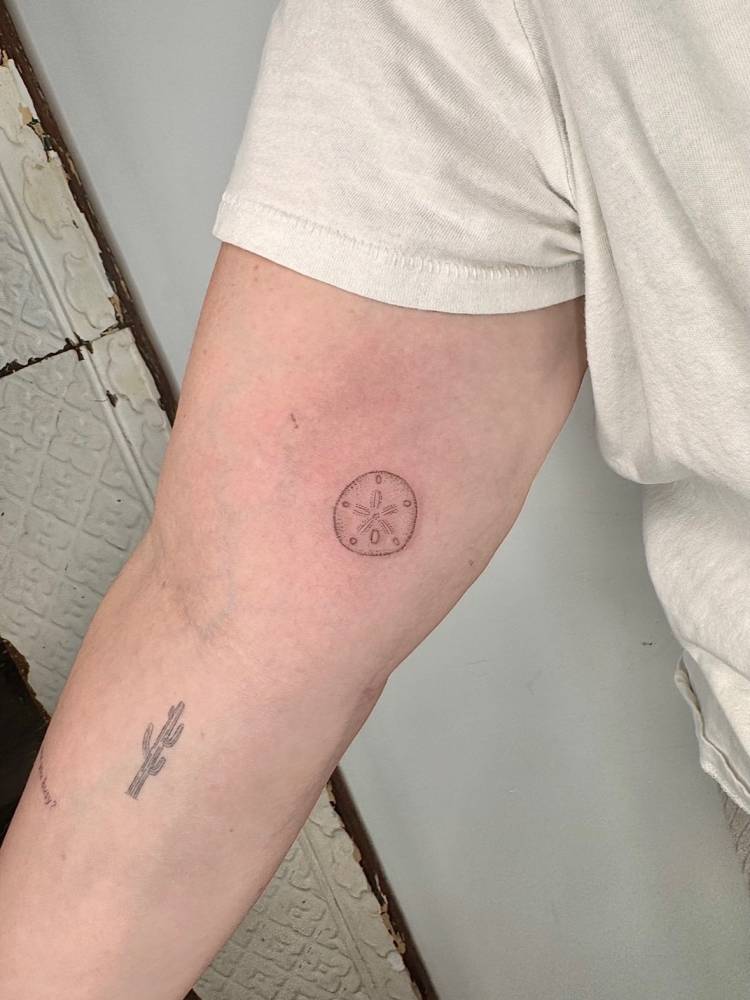 Single needle sand dollar tattoo located on the inner arm.