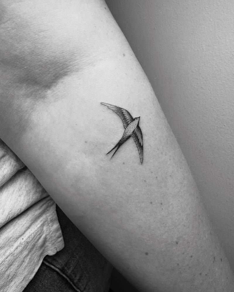 Swallow tattoo in illustrative style located on the inner forearm.