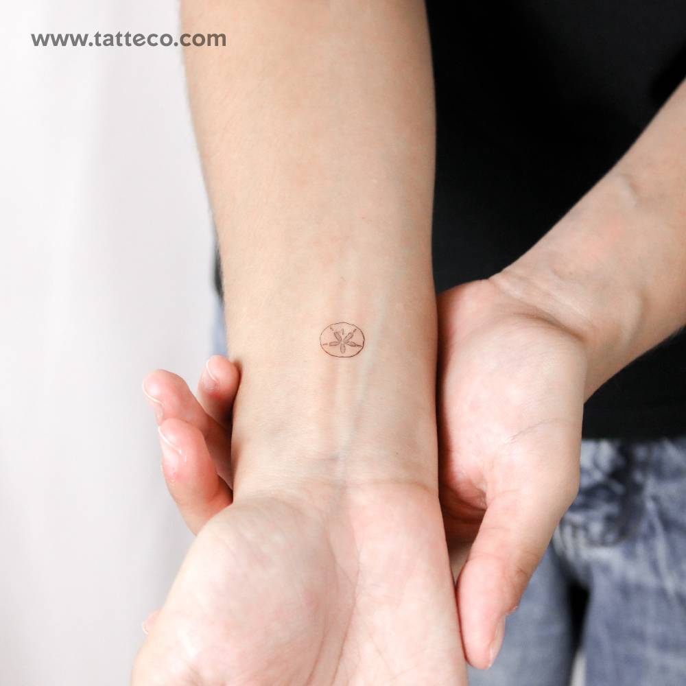 Tiny sand dollar temporary tattoo