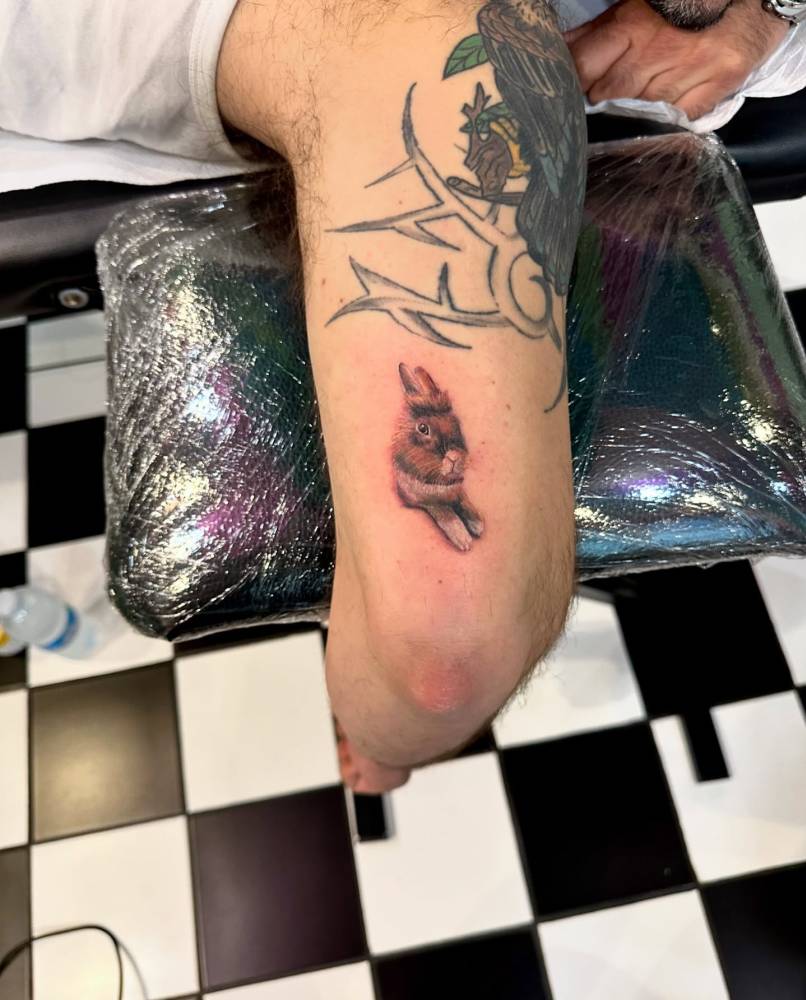 Rabbit portrait tattoo in micro-realistic style located on the tricep.