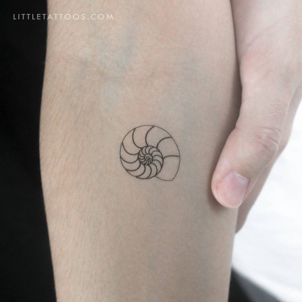 Ammonite Shell Temporary Tattoo