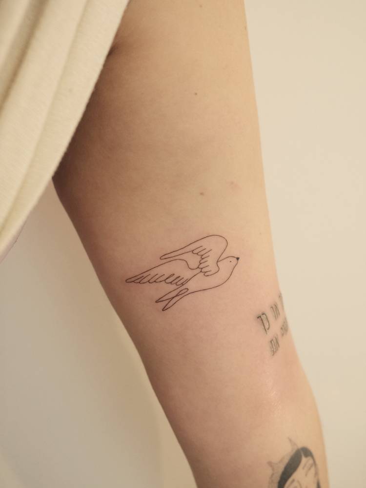 Fine line style dove tattoo placed on the inner arm.