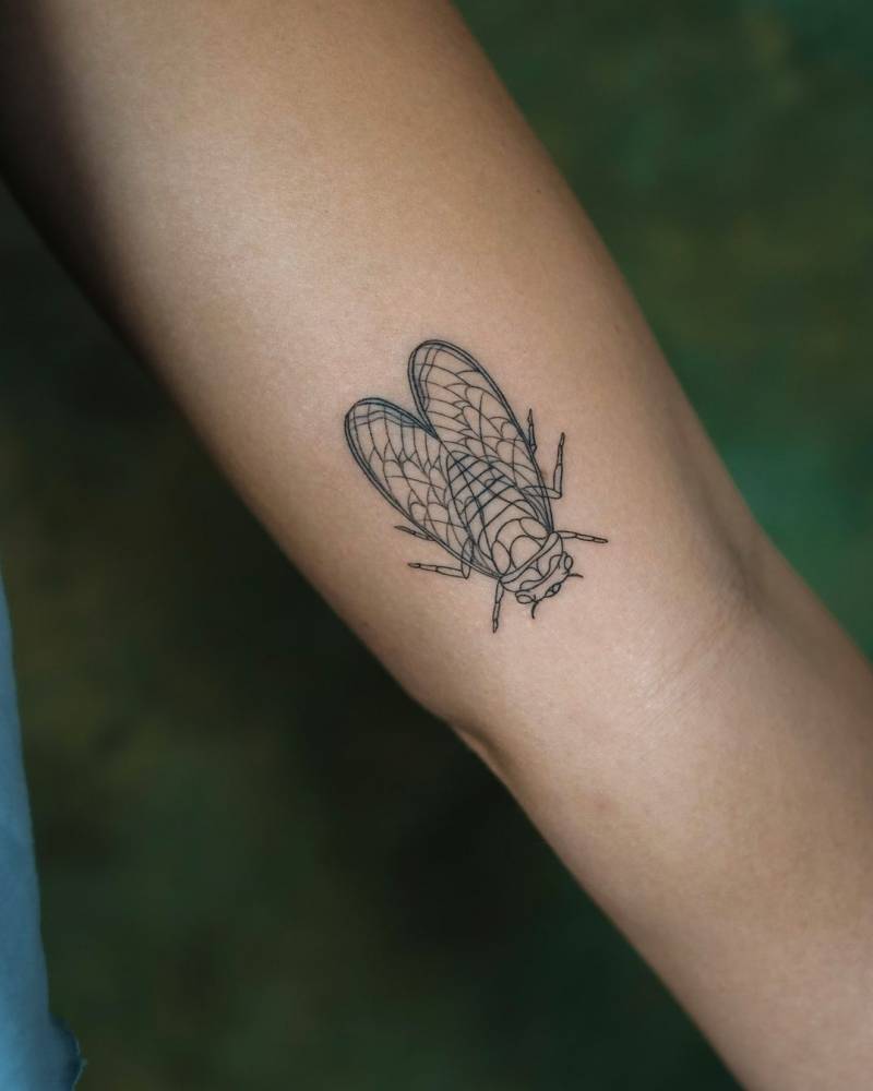 Fine line cicada tattoo on the inner arm.