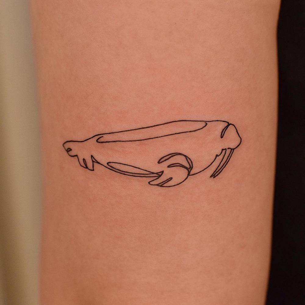 Line art walrus tattoo in fine line