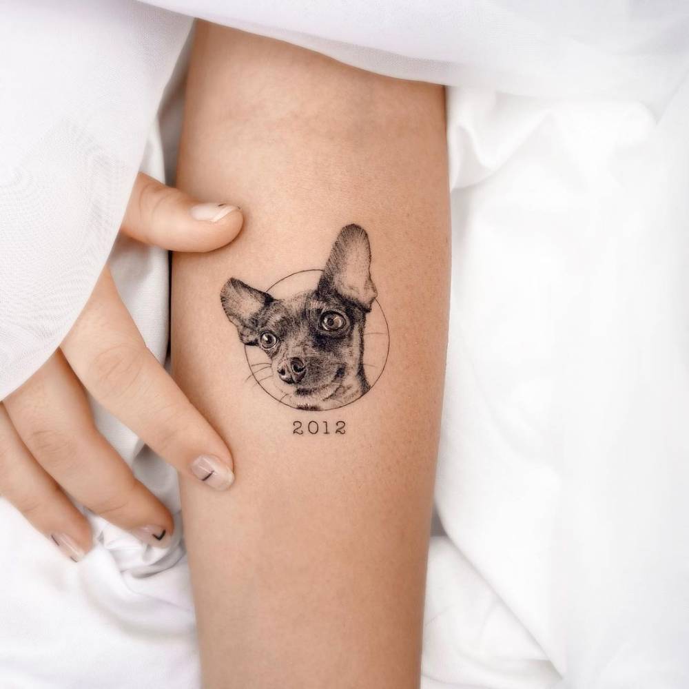 Micro-realistic pinscher tattoo on the inner forearm.