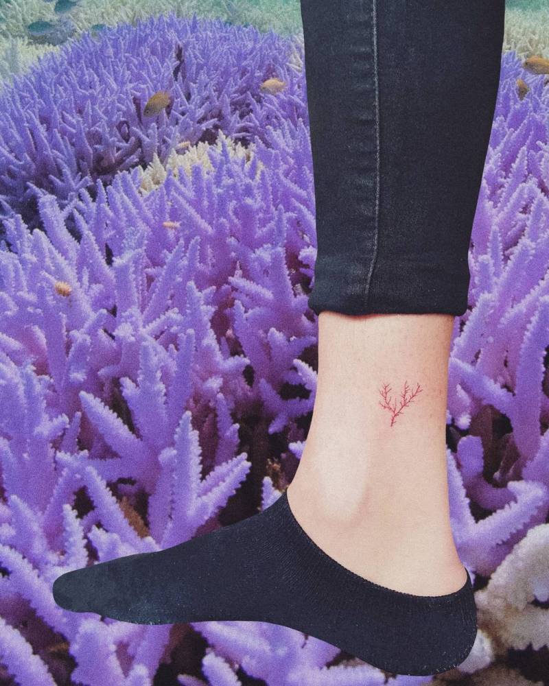 Fine line red coral tattoo on the ankle.