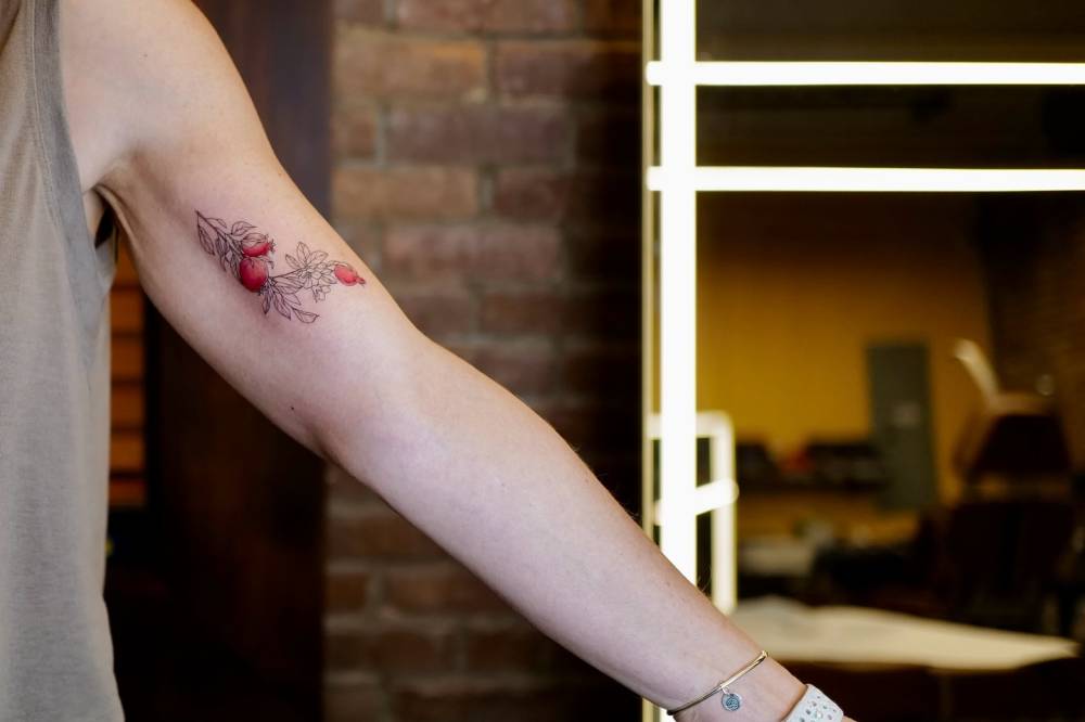 Pomegranates tattoo located on the inner arm, illustrative style.
