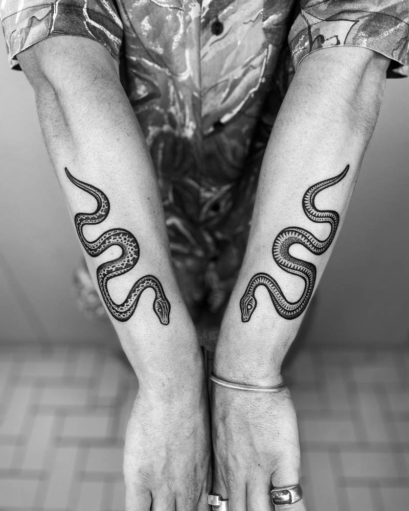 'The Synchronised Snakes'.