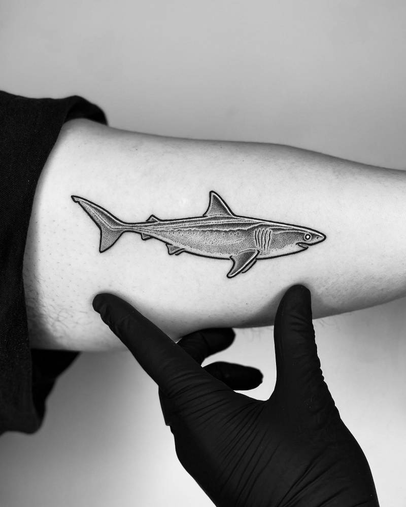 'The Great Black & White'.