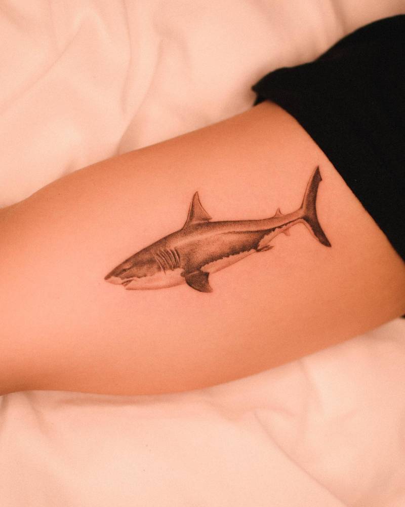Micro-realistic style shark tattoo located on the inner arm.