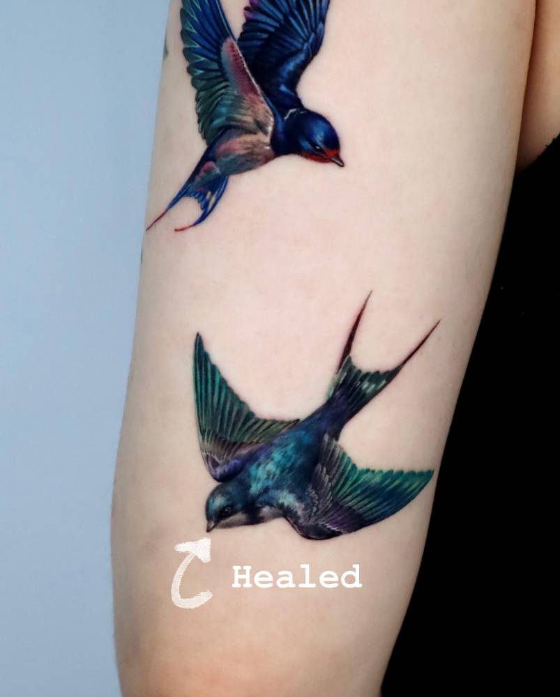 Flying swallows tattoo in realistic style located on the upper arm.