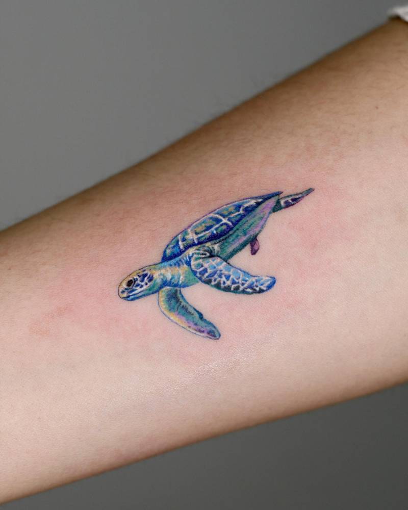 Turtle tattoo placed on the inner forearm, illustrative style.