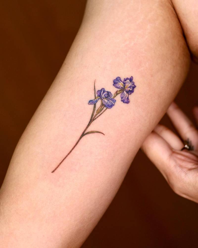 Iris tattoo located on the inner arm, watercolor style.