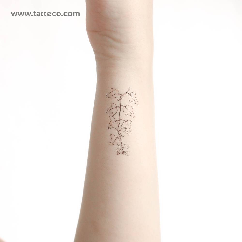 Common Ivy Plant Temporary Tattoo