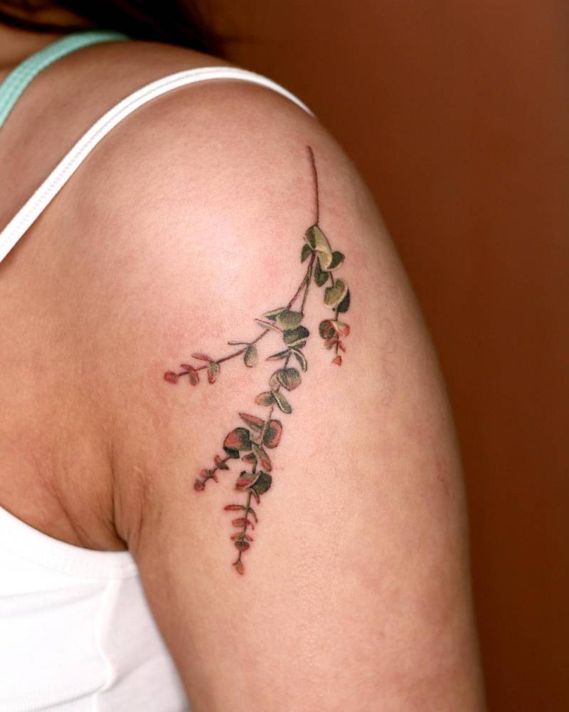Watercolor style eucalyptus tattoo located on the shoulder.