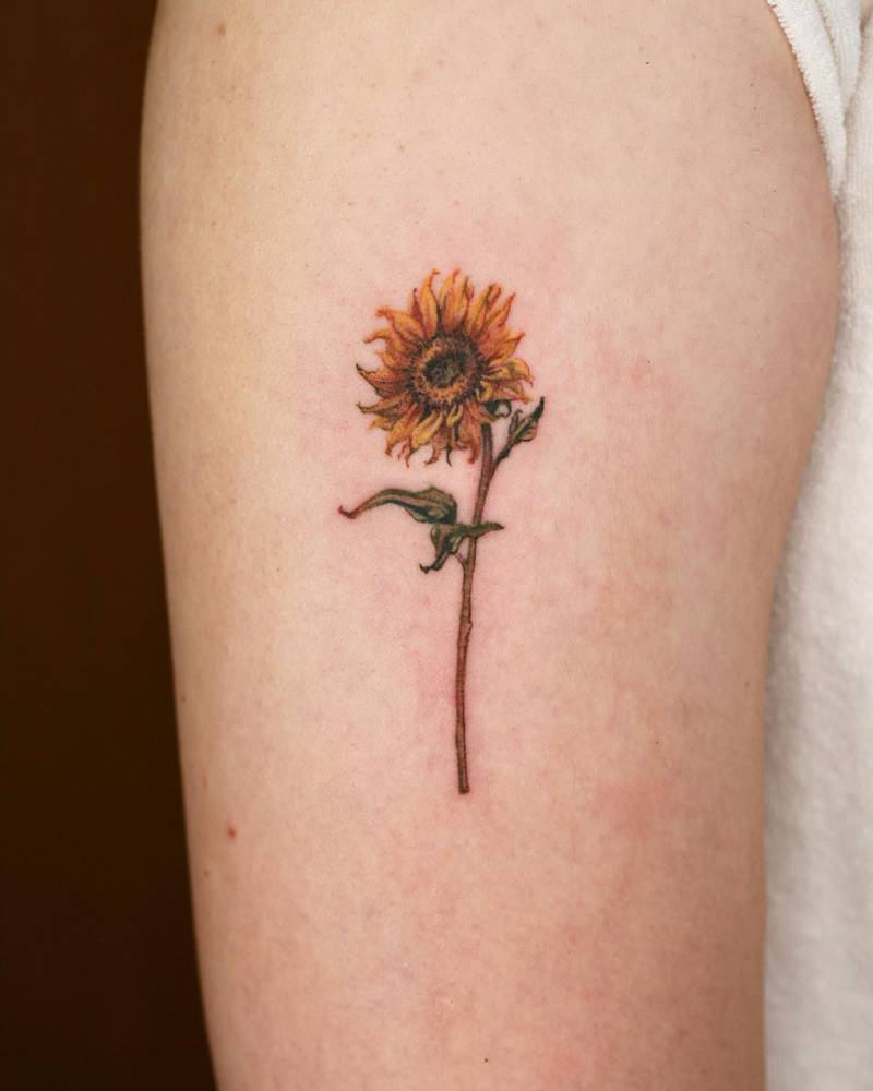 Watercolor style sunflower tattoo located on the upper arm.