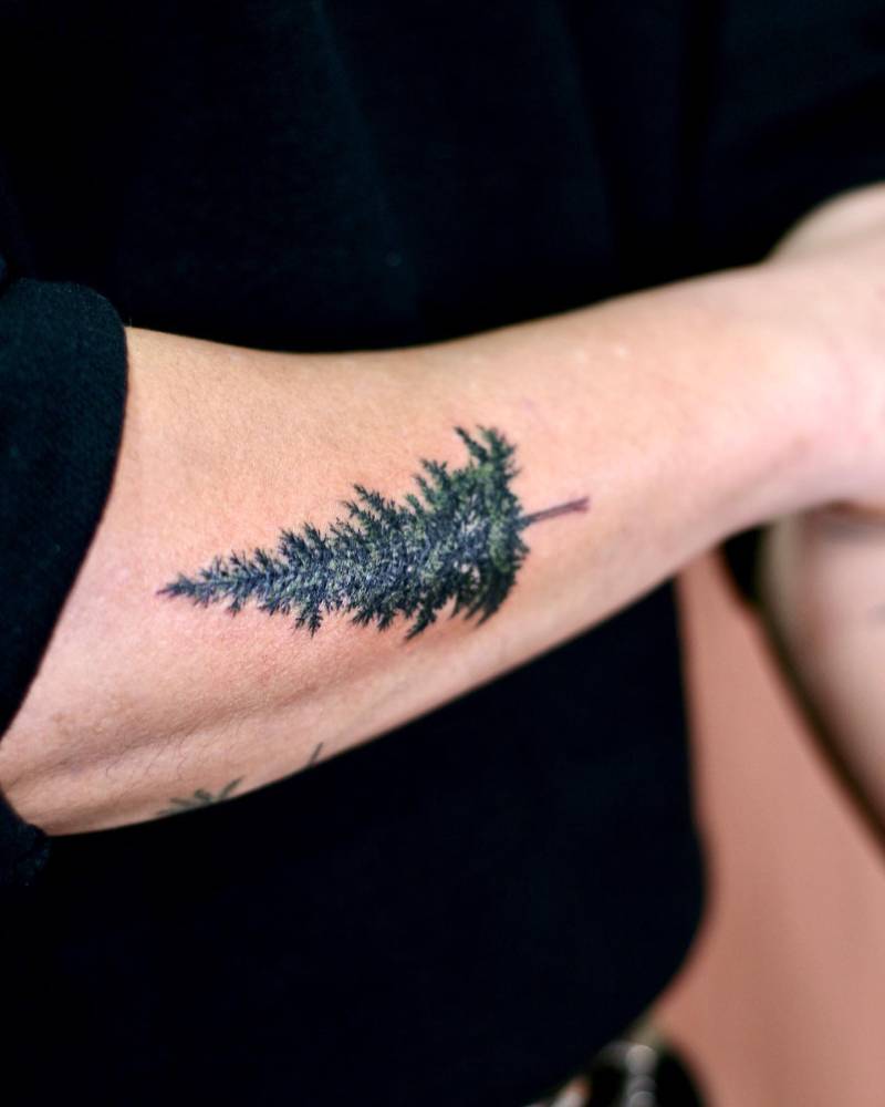 Micro-realistic style pine tree tattoo located on the forearm.