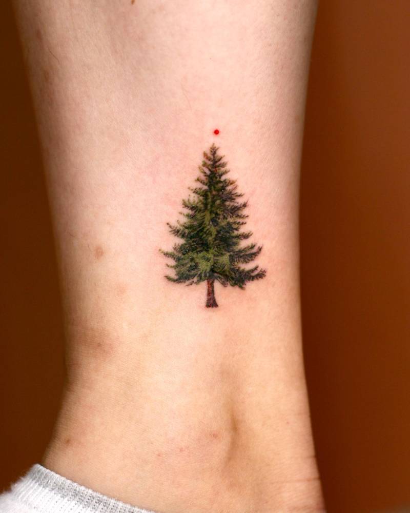 Micro-realistic style pine tree tattoo located on the ankle.