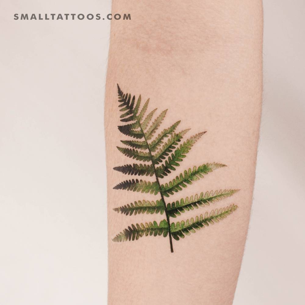 Fern Frond By Ann Lilya Temporary Tattoo