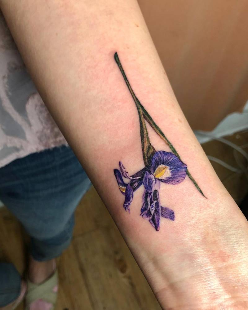 Iris flower in watercolor style tattooed on the inner forearm.
