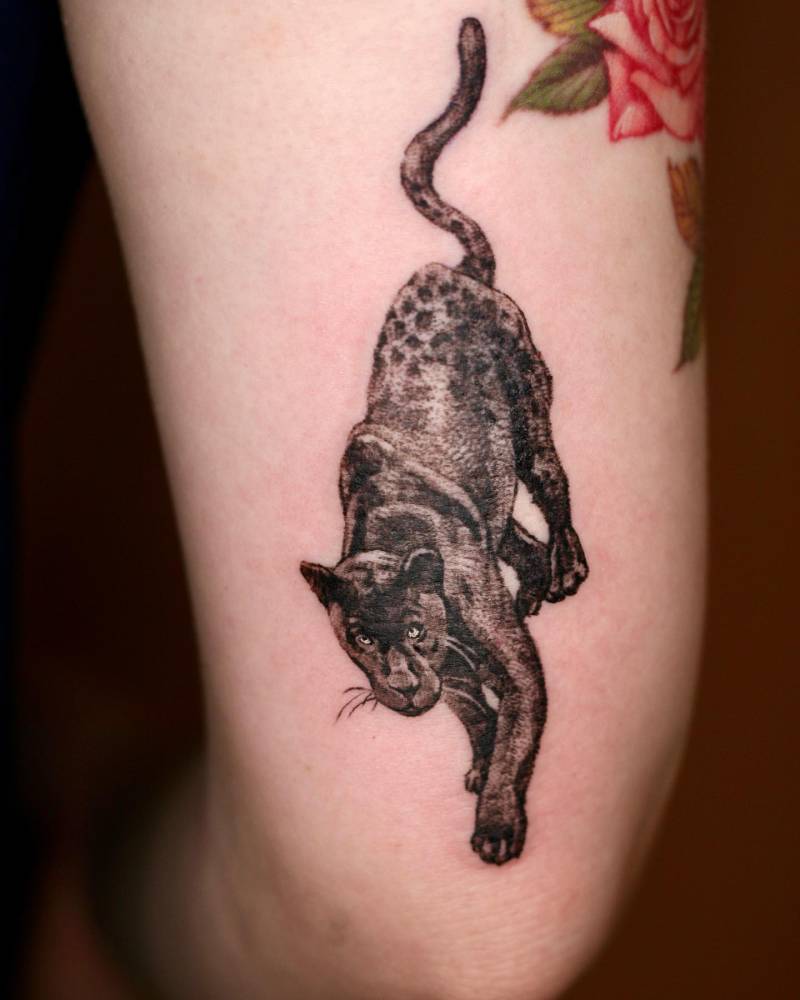 Panther tattoo done on the tricep, watercolor style.