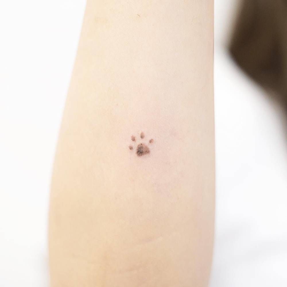 Tiny watercolor style paw print tattoo located on the inner forearm.