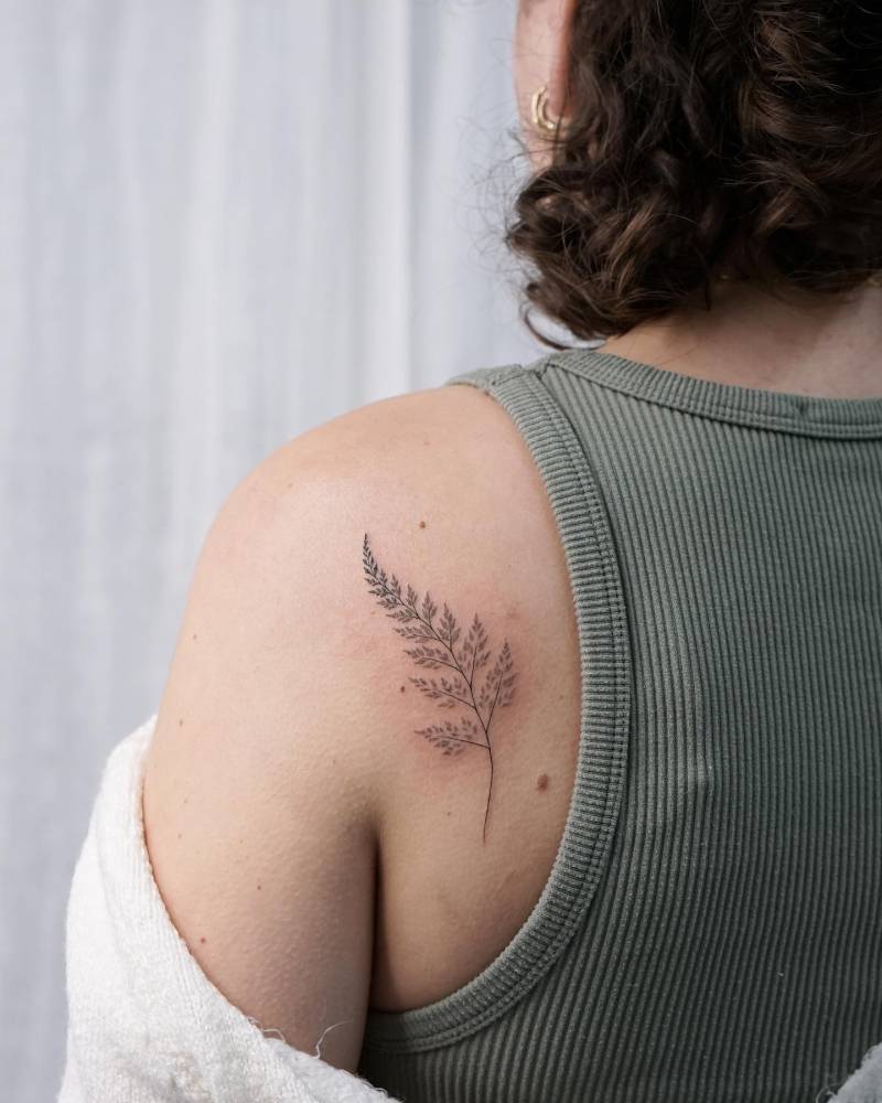 Fern frond tattoo located on the shoulder blade.