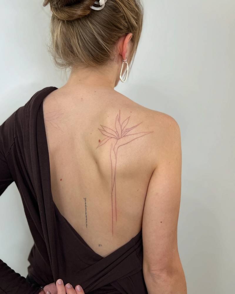 Hand poked bird of paradise flower tattoo located on the shoulder blade.