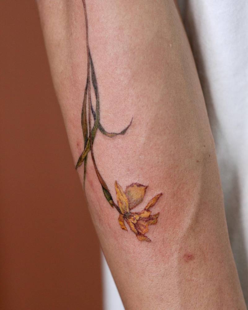 Dry narcissus flower tattooed on the forearm, watercolor style.