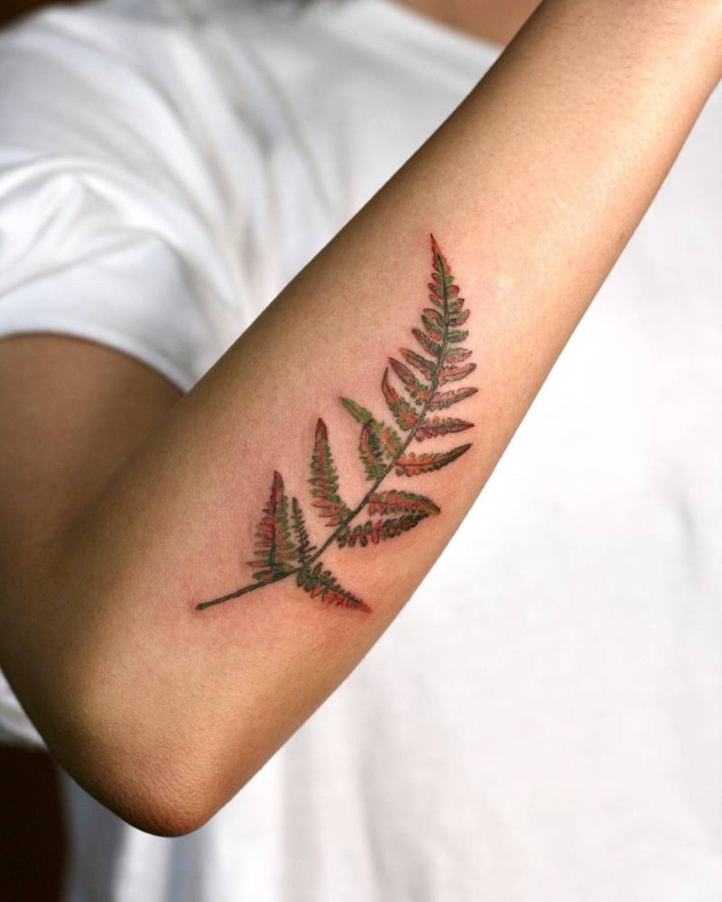 Watercolor style fern frond tattoo located on the forearm.