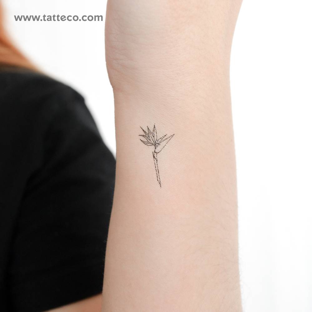 Bird of Paradise Strelitzia Temporary Tattoo