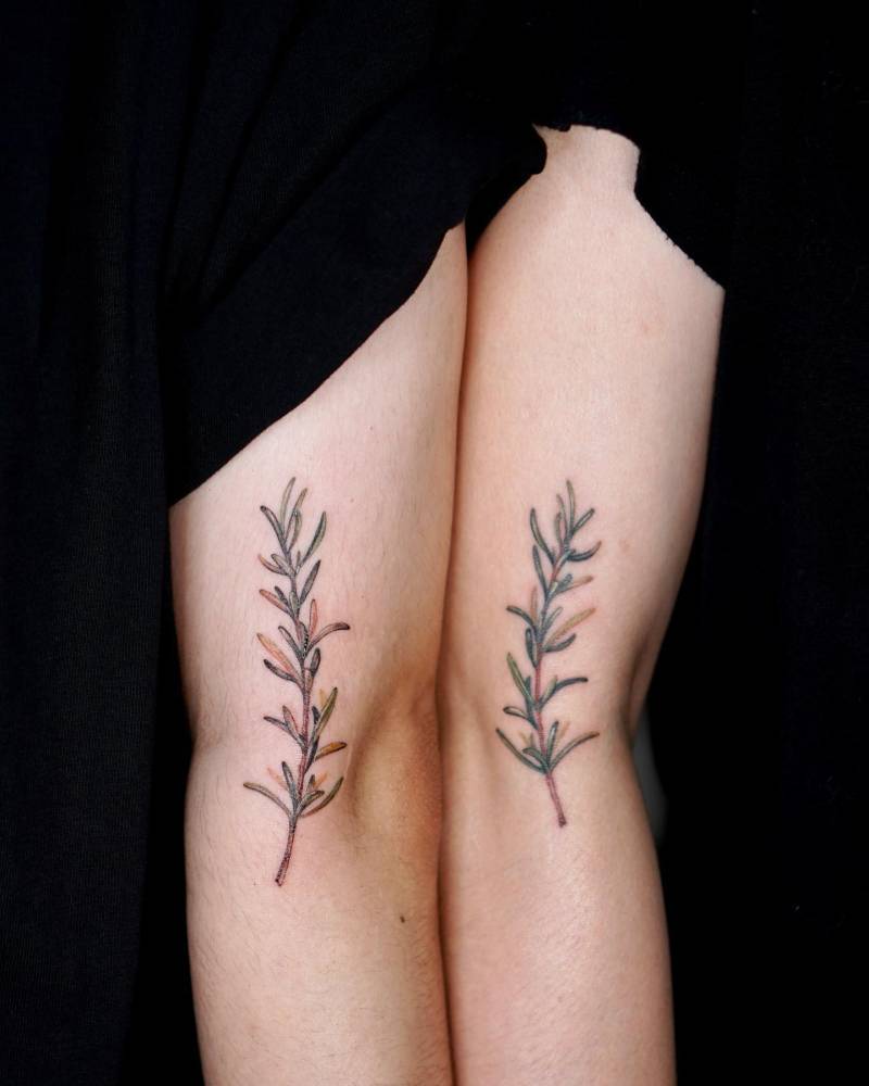 Matching rosemary tattoo for couple, one fresh, one healed.